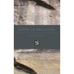 PUNTO DE EBULLICION ANTOLOGIA DE LA POESIA CONTEMPORANEA EN GALLEGO / REYES, MIRIAM