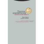 TEXTOS GNOSTICOS BIB.NAG HAMMADI III / PIÑERO SAENZ, ANTONIO  /GARCIA BAZAN, FRANCISCO / MONTSERRAT TORRENTS, JOSE