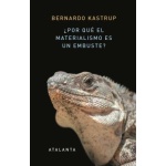 ¿Por qué el materialismo es un embuste? / Bernardo Kastrup