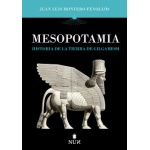 Mesopotamia. Historia de la tierra de Gilgamesh /  Juan Luis Montero Fenollos