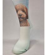 Calcetín Sacha perros
