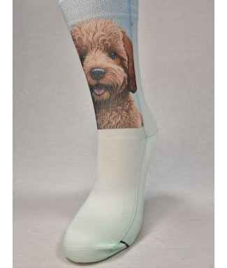 calcetines-informales-de-mujer-con-perro-graciososa-2209w---37-41---------185 Calcetín Sacha perros - Imagen 1
