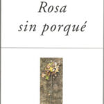 Rosa sin porqué / Jenaro Talens